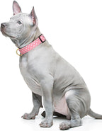 Reflective Dog Collar for Medium Dogs, Cute Adjustable Heavy-Duty Nylon Puppy - Image 2
