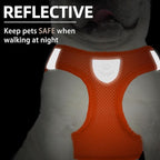 PUPTECK Adjustable Dog Harness Collar and Leash Set Step in No Pull Pet Harness - Image 5