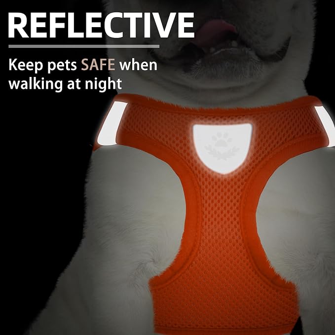 PUPTECK Adjustable Dog Harness Collar and Leash Set Step in No Pull Pet Harness - Image 5