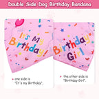 Dog Boy Girl Birthday Party Hat, Dog Birthday Party Supplies, Doggie Birthday - Image 5