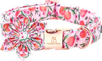 Lionheart glory Dog Collar by LionheartGlory
