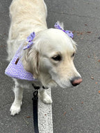 Lionet Paws Spring Daisy Dog Bandana Washable Cotton Handkerchief Scarf - Image 5