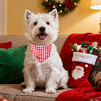 Red and Pink Plaid Dog Bandana–Red and Pink Checked Triangle Scarf - Image 4