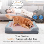 Comfort Expression Orthopedic Dog Bed - Image 2