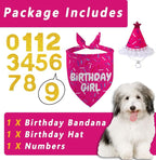 Dog Birthday Bandana Set, Rose Pink Birthday Girl Decorations, HBD Party - Image 2