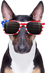 12 Pieces Sublimation Pet Bandanas White Heat Transfer Triangle Dog Scarf Blank - Image 6