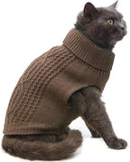 Stretchy Cat Sweater - Image 2