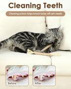 Tocirelo Silvervine Sticks Cat Toys - Image 3