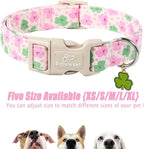 St Patricks Day Dog Collar for Giant Large Dogs - Image 6