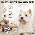 QDAN Small Dog Toys, Puppy Balls, Dog Balls - Image 5