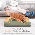 Comfort Expression Orthopedic Dog Bed - Image 2