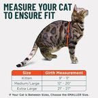 Houdini™ Escape Proof Cat Harness and Leash Set by OutdoorBengal – Red - Image 5
