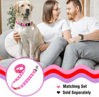 Native Pup Valentine’s Dog Collar- Valentines Day Pet Collars- Valentine Girly - Image 5