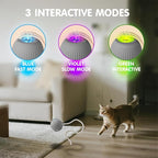 Rocfish Durable Interactive Cat Toys - Image 4