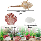 Aquarium Plants with Natural Decorations Shells - Image 3