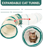 ALBERT & MIA CATGILITY Cat Agility Equipment + Clicker Trainer Guide – Exercise - Image 6