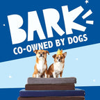 Barkbox Orthopedic Dog Bed | Comfortable Memory Foam Mattress - Image 6