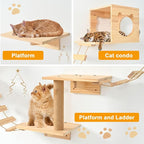 PETKABOO Cat Wall Shleves and Perches, Pine Wooden Cat Wall Furniture Climbing - Image 6