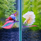 WILLBOND 2 Pcs Pink Silicone Betta Fish Bed Leaf Hammock Betta Fish Tank - Image 5