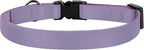 Breakaway Cat Collar with Bell - Image 8