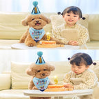 Pet Birthday Party Set, Dogs Bandana and Dog Birthday Hat - Image 7