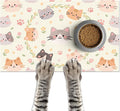 Cat Feeding Mat 24x16 inch Floral Ring Kitten Print Pet Bowl Placemat Non Slip by HOMETITUTE