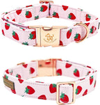 Elegant little tail Dog Collar, Strawberries Print Pet Collar Summer Dog Collar - Image 4