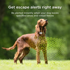 Petcube GPS Tracker for Dogs – Real-Time Location Tracking, Escape Alerts & - Image 3