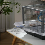 Metal Bird Cage 24 Inch High, Parrot Cage - Image 2