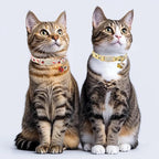 2 Pack Cute Cat Collars - Image 2