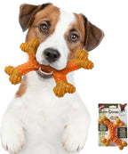 SPOT Bam-Bones Dental X-Bone - Image 5