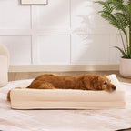 Dog Bed Large Sized Dogs, Orthopedic Dog Bed - Image 7
