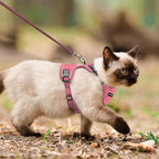 Cat Harness, Cat Harness and Leash Set, Soft and Breathable Vest - Image 5
