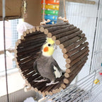 Natural Apple Wood Parrot Hammock & Tree Caves - Image 5