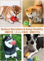 SCHITEC Squeaky Dog Toys, Soft Stuffed Plush Balls - Image 7