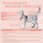 rabbitgoo Cat Harness and Leash - Image 2