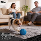 Pet Qwerks Talking Babble Ball - Image 6
