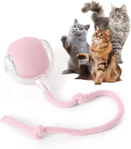 Rocfish Durable Interactive Cat Toys by Unknown