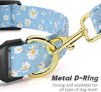 Reflective Dog Collar for Medium Dogs, Cute Daisy Theme Adjustable Heavy-Duty - Image 5