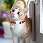 Unique style paws 2 Pack Kitten Collar Breakaway - Image 5