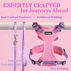 rabbitgoo Cat Harness and Leash - Image 7
