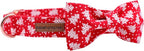 Elegant little tail Dog Collar - Image 2