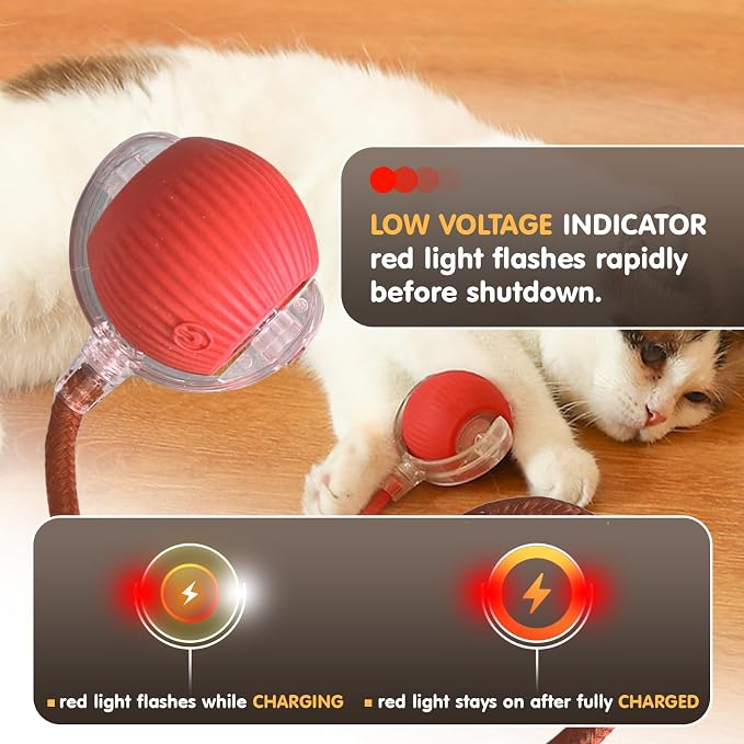 Rocfish Durable Interactive Cat Toys - Image 7