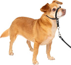 PetSafe Gentle Leader Headcollar No-Pull Dog Collar by PetSafe