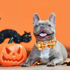 Halloween Dog Collar, Pet Collar Bow Fall Pet Collar Girl Boy Holiday Collar - Image 5