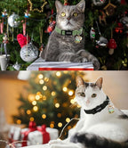 Cat Collar, 2 Pack Cat Collars Breakaway - Image 5