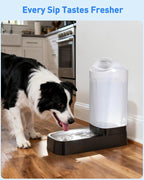 Dog Water Dispenser Filters Replacement, 4 Pack Gravity Pet Water Bowl Filters - Image 6
