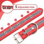 PETCARE Reflective Dog Collar - Image 6
