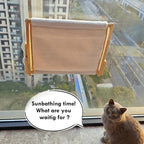 Foldable Cat Window Perch, Natural Wood, 16.5''×12'' Hammock, 35 lbs Weight - Image 2