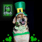 Lionheart glory St. Patrick's Day Dog Collar - Image 5